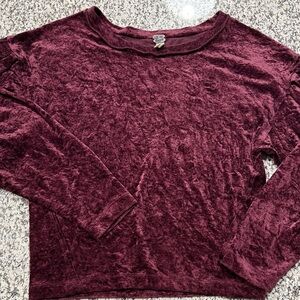 We The Free Long Sleeve Velvet Top